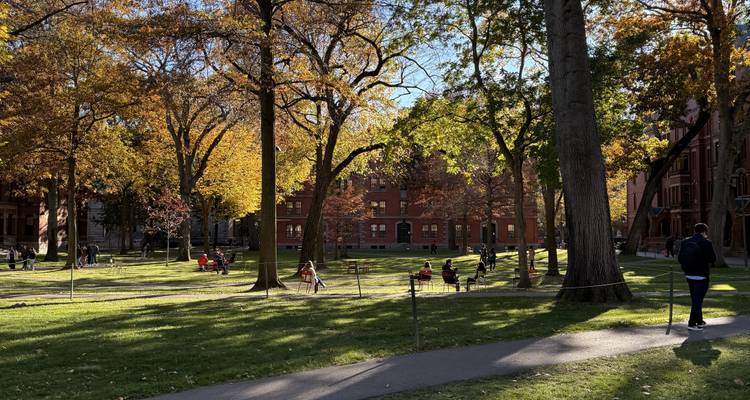 Un parc verdoyant avec des arbres et des gens assis sur des bancs.