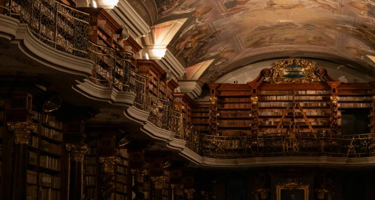 Detailed interior view of a library with ornate decorations.