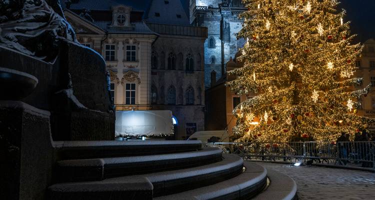 Christmas market with a large lit tree and historic buildings.
