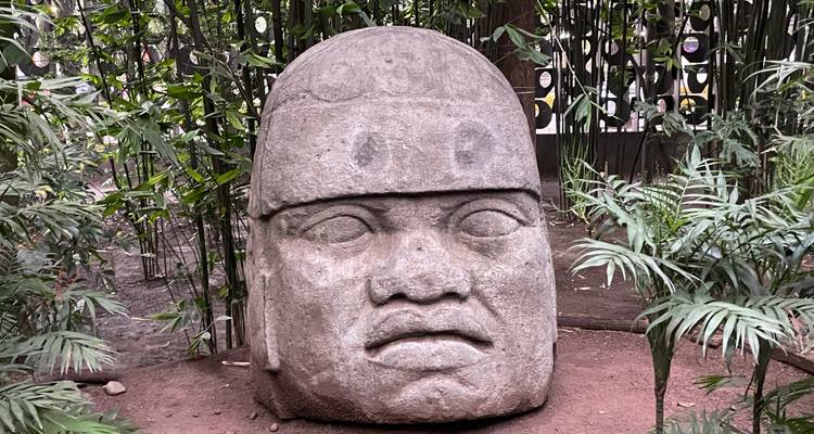 Groot stenen hoofdbeeldhouwwerk in een tuinomgeving