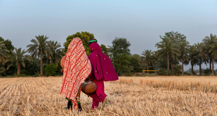 Twee vrouwen in kleurrijke sari's dragen kleipotten door een geoogst veld omgeven door palmbomen