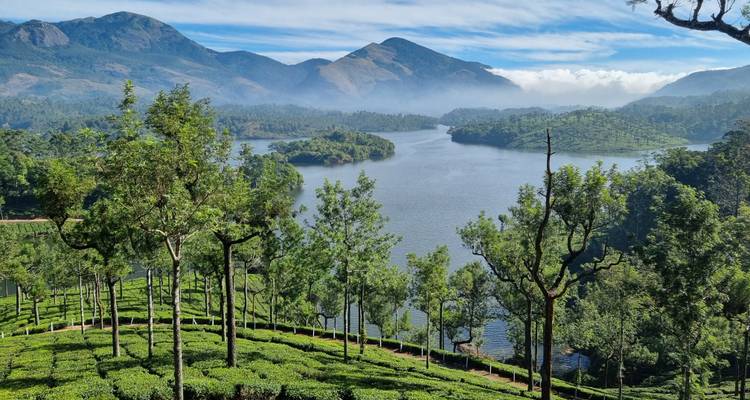 Paisaje verde exuberante con montañas y vista al lago.