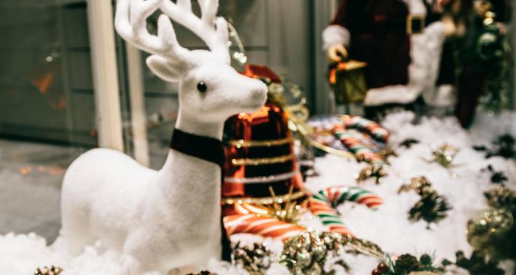 Vitrine sur le thème de Noël avec une décoration de renne.
