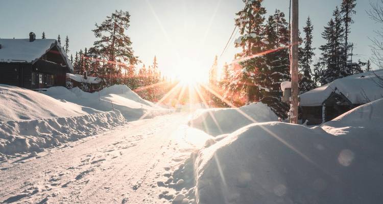 Scène de village enneigé avec des rayons de soleil filtrant à travers les arbres.