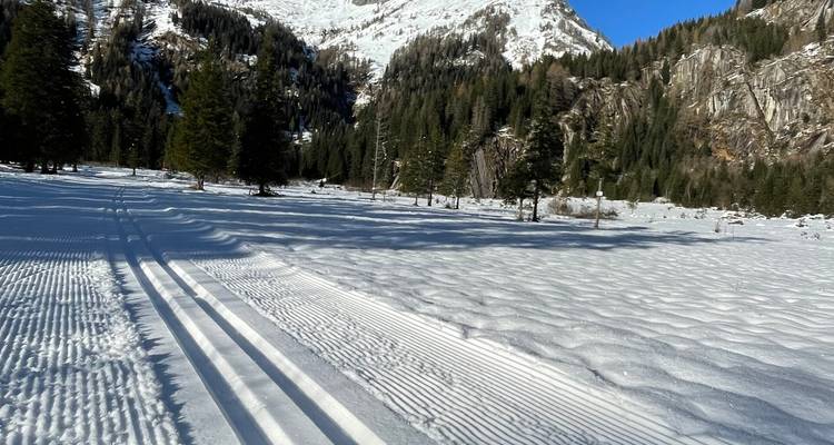 Pistes de ski de fond damées dans une forêt enneigée.