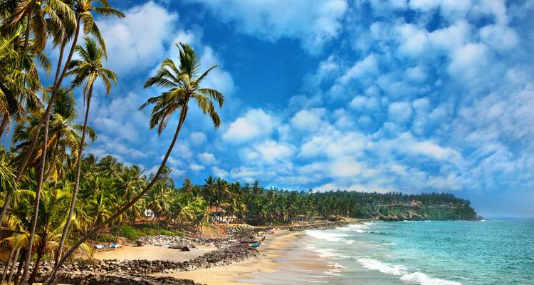 Vue panoramique d'une plage tropicale bordée de palmiers sous un ciel bleu.