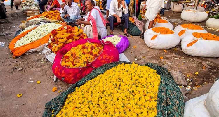 Bolsas vibrantes de flores de cempasúchil a la venta en un mercado al aire libre lleno de vida, con vendedores sentados cerca.