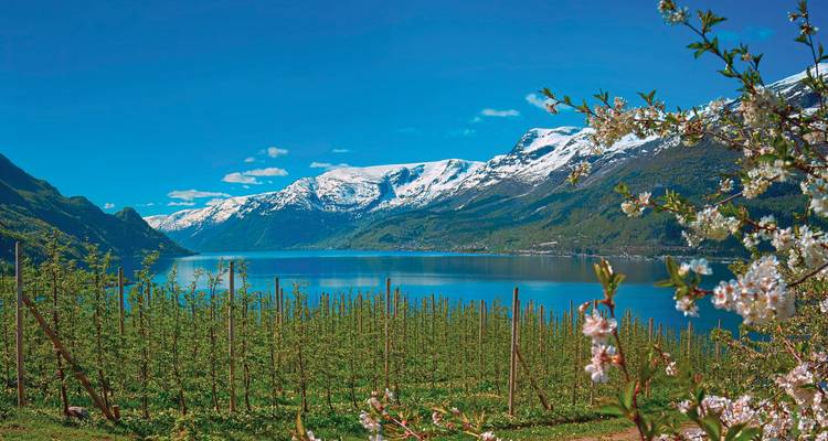 Ein malerischer See mit Bergen, umgeben von Blumen und klarem blauen Himmel.