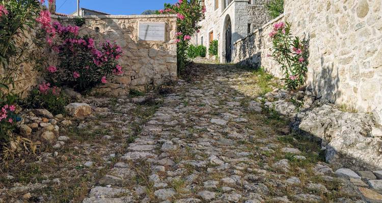 Cobblestone street with stone buildings and flowers.