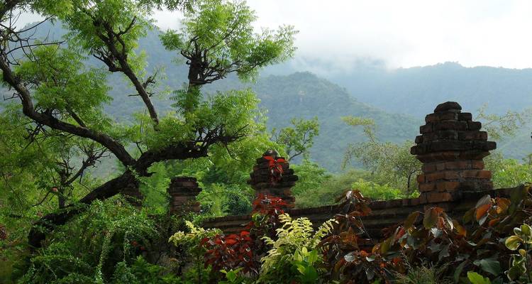 Garten mit üppiger Vegetation und Bergen im Hintergrund.