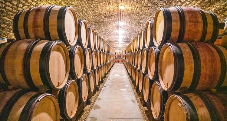 Long stone wine cellar lined with neat rows of wooden aging barrels under warm lighting