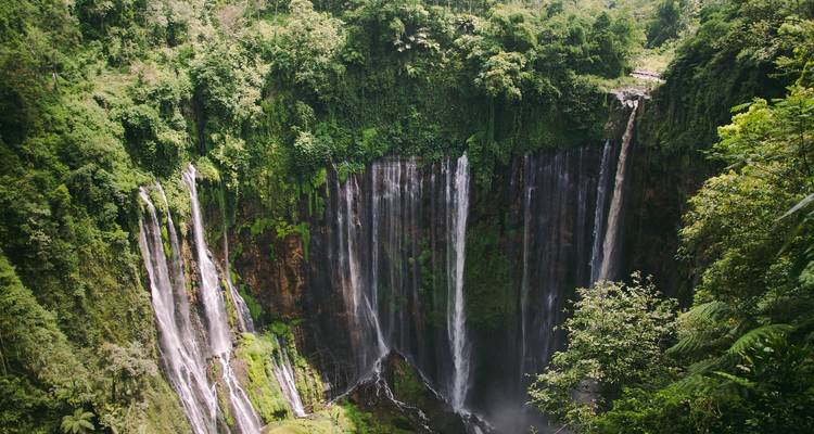 De hautes cascades dans une forêt verdoyante et luxuriante.
