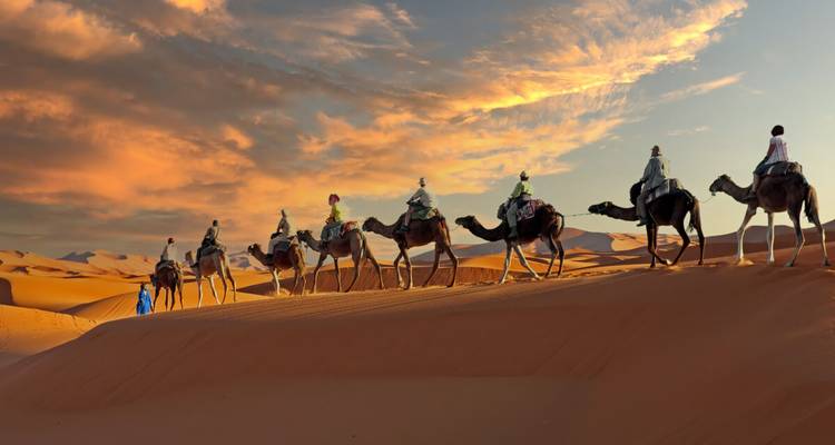 Caravane de cavaliers sur des chameaux en silhouettes traversant les dunes du Sahara illuminées au coucher du soleil.