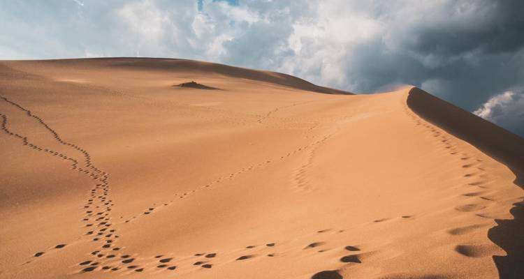 Vastes dunes de sable sous un ciel nuageux.
