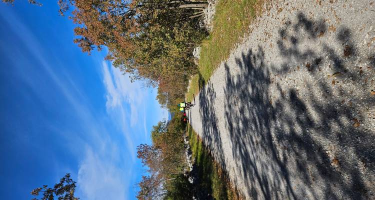 Cyclists riding on a gravel path lined with trees under a clear blue sky.