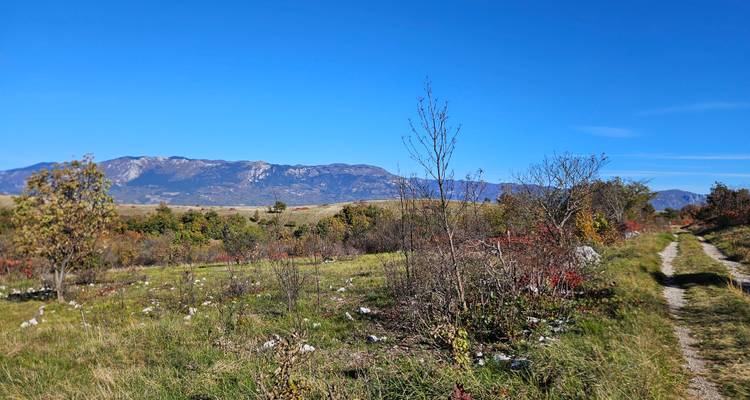 Expansive grassy landscape with mountains in the background.