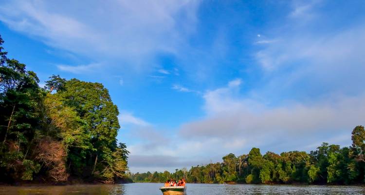 Ein kleines Motorboot mit Touristen gleitet unter einem strahlend blauen Himmel entlang eines breiten Dschungelstroms.