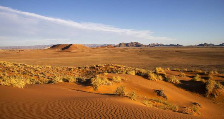 Vaste paysage désertique avec des dunes de sable ondulantes et un ciel dégagé.