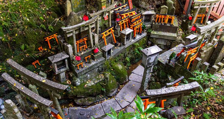 Des petits sanctuaires en pierre miniature et des portiques torii orange vif regroupés sur un flanc de colline couvert de mousse