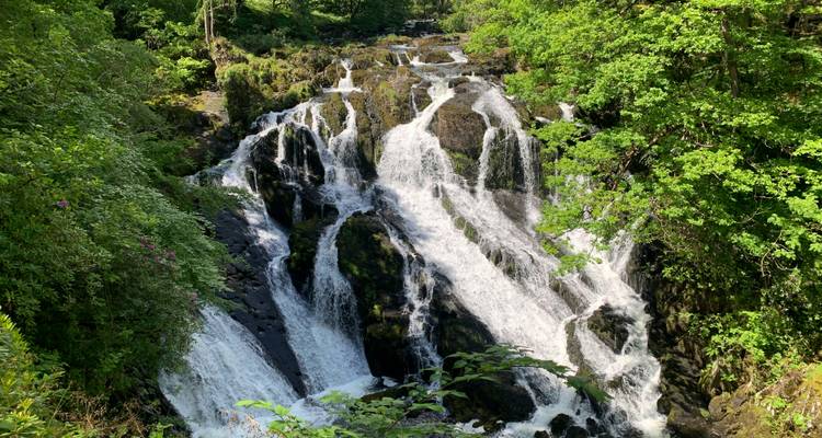 Kaskadenförmiger Wasserfall umgeben von dichtem Wald.