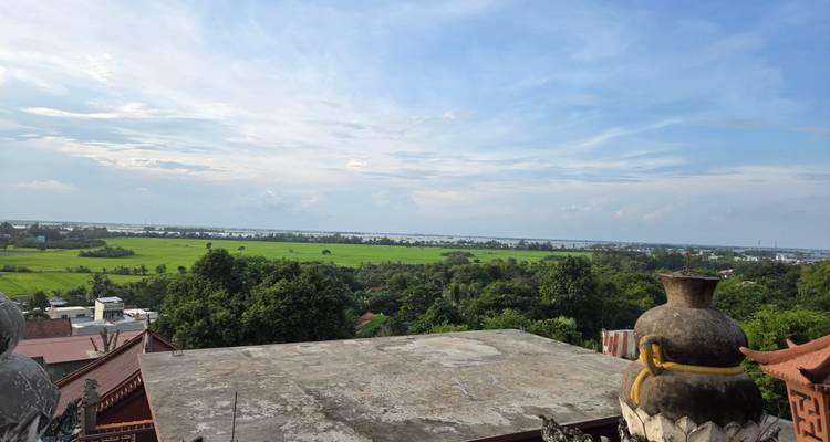 Wide rural panorama of green rice fields and distant river viewed from a rooftop terrace.