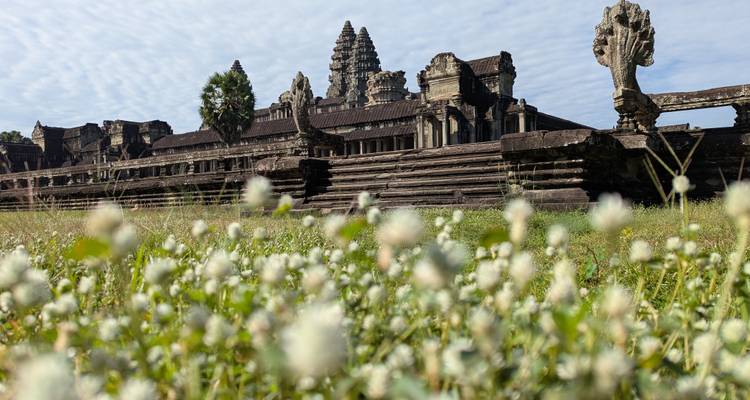 Wildflowers in soft focus foreground a distant view of Angkor Wat temple under a patterned sky.