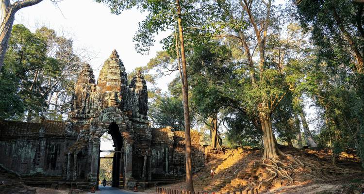 La porte au visage de pierre d'Angkor Thom émerge des grands arbres forestiers avec des racines exposées s'étendant largement.