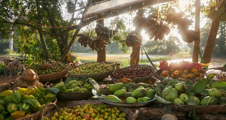 Étal de fruits rustique baigné d'une lumière de contre-jour chaleureuse exposant des paniers de mangues, de bananes et de produits tropicaux.