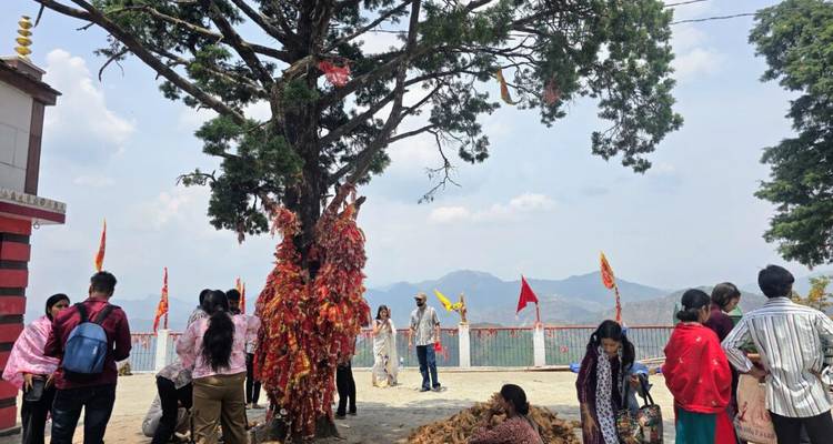 Groupe rassemblé autour d'un arbre avec des offrandes et des rubans.