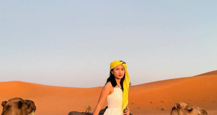 Gros plan d'une femme et de chameaux dans le désert.