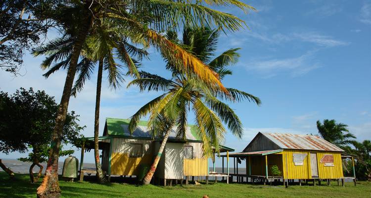 Kleurrijke huizen met palmbomen tegen een blauwe lucht.