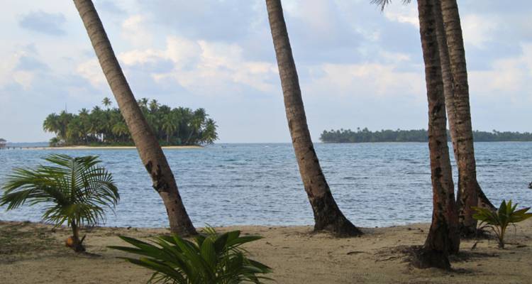 Met palmbomen omzoomd strand met uitzicht op een klein eiland in de verte.
