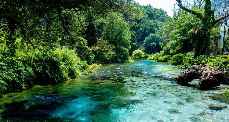 Belle forêt et rivière turquoise claire qui coule à travers.