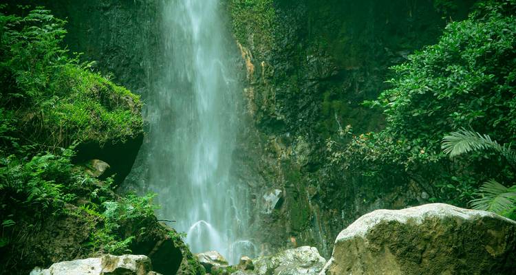 Gorge verdoyante et luxuriante avec une haute cascade s'engouffrant dans les rochers entourés de végétation tropicale.