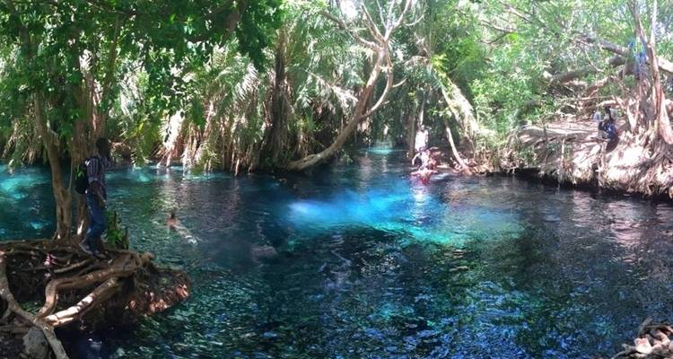 Vue panoramique de personnes profitant d'un point d'eau forestier bleu profond entouré de palmiers