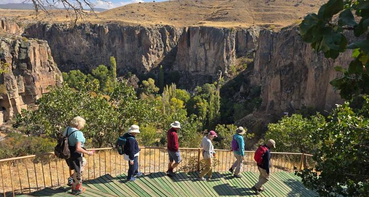 Hikers descend wooden steps to a dramatic cliff-lined canyon with lush trees below.