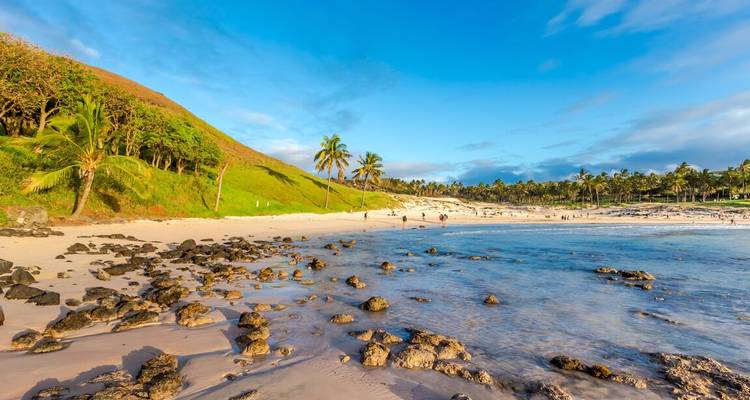 Palm-fringed white-sand beach with turquoise water and gentle waves on Easter Island.