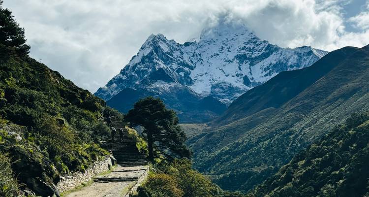 Stone trail winds up a green valley toward a snow-clad Himalayan peak under swirling clouds.
