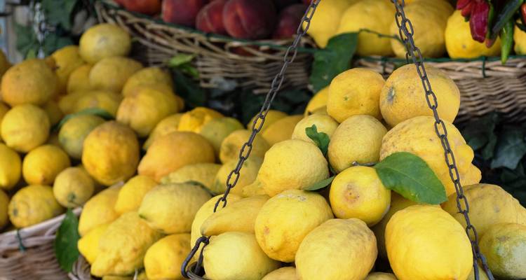 Assortiment de citrons frais dans des paniers.