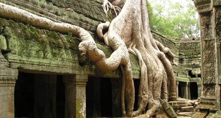 Ancient temple with massive tree roots growing over it.