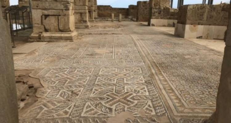 Ornate floor mosaic in an ancient structure.