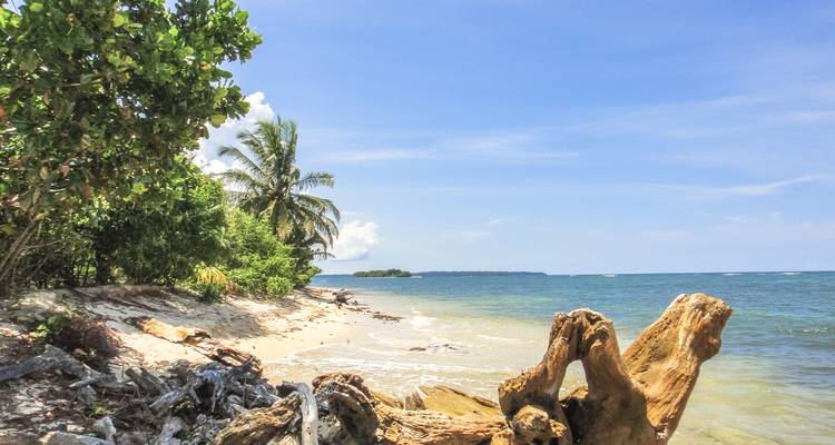 Una playa apartada con palmeras y agua azul cristalina.