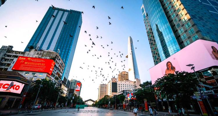 Urban street scene with skyscrapers and birds flying in the sky.