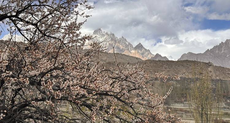 Los árboles de albaricoque en flor enmarcan las agujas rocosas y el terreno accidentado del Valle de Hunza