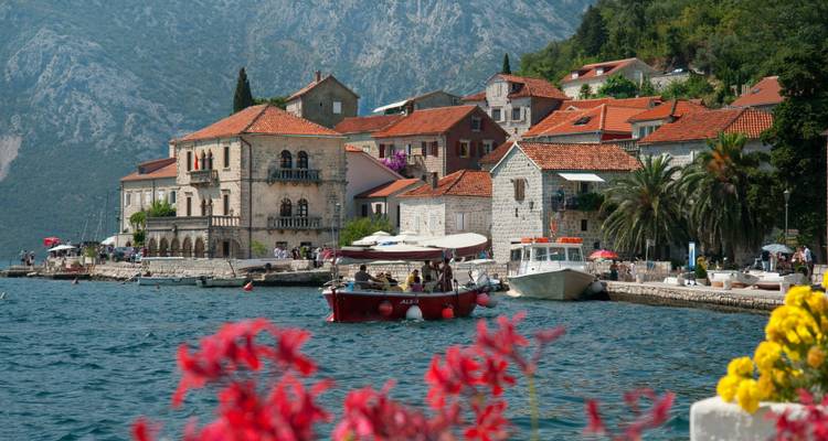 Baie de Kotor avec architecture méditerranéenne traditionnelle et végétation luxuriante.