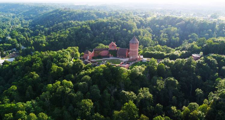 Vue aérienne d'un château médiéval entouré d'une forêt dense.