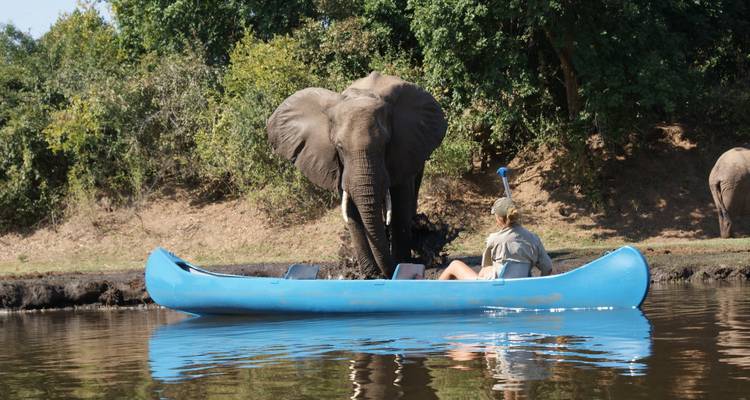 Persoon in een kano observeert een olifant aan de oever van de rivier.