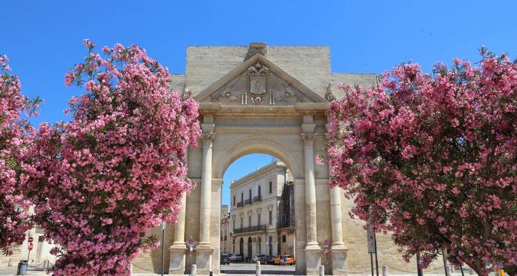 An archway adorned with pink flowers leading to a plaza.