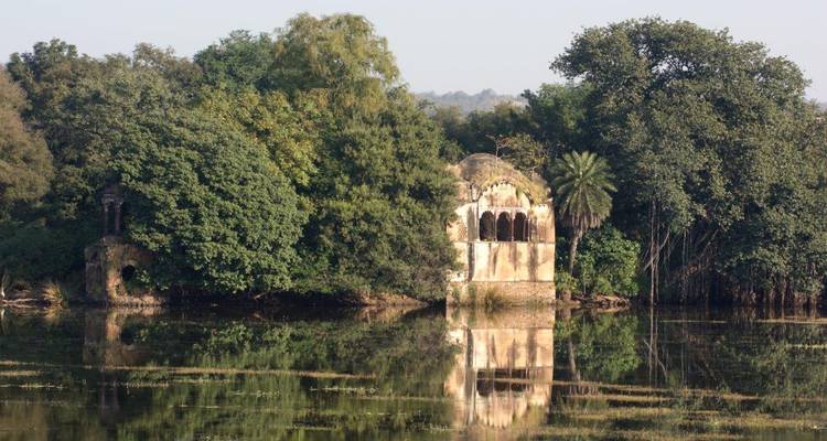 Bäume und ein altes Bauwerk spiegeln sich im Wasser wider und schaffen eine ruhige Atmosphäre.