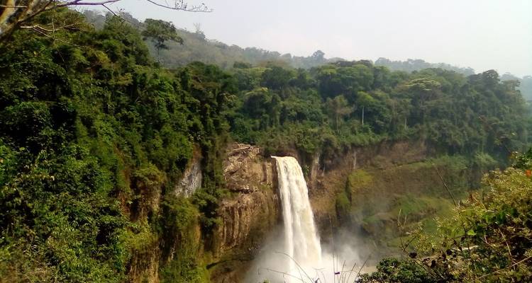 A majestic waterfall surrounded by dense green forest.